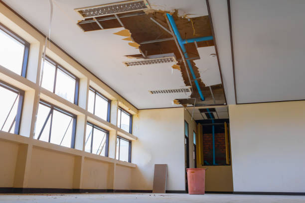 Best 24/7 water damage repair  in Custer, SD