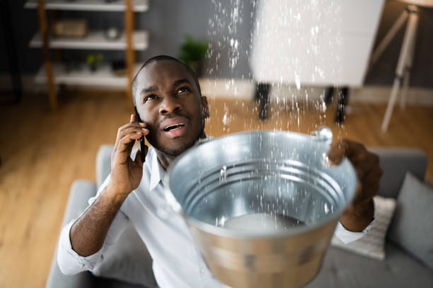 Best Local water damage restoration  in Custer, SD