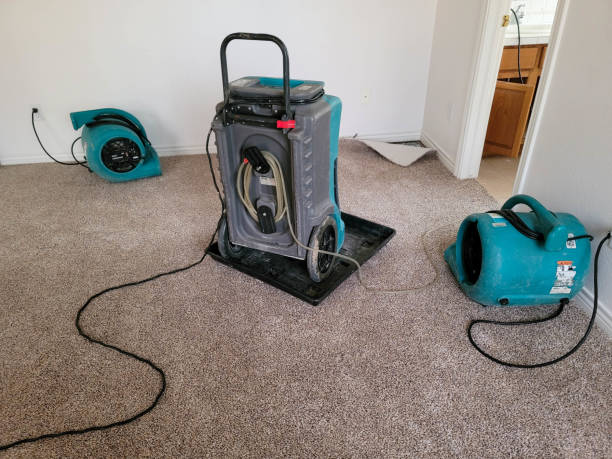  Custer, SD Water damage restoration Pros