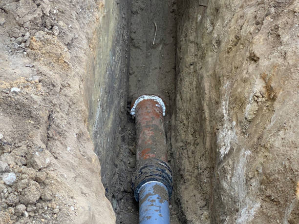 Local water damage restoration in SD