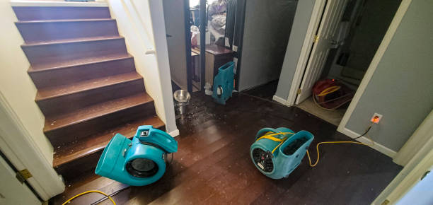 Water damage restoration experts in SD