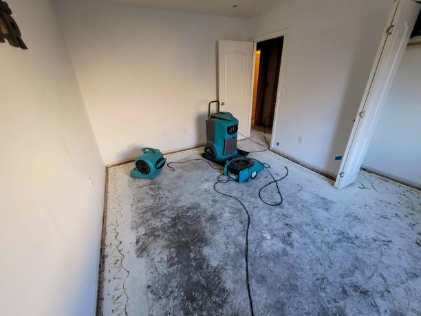 Best Water damage contractors near me  in Custer, SD