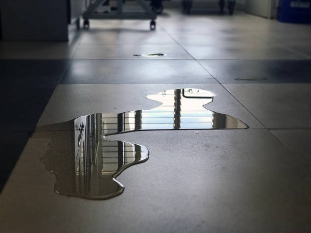 Best Water damage contractors near me  in Custer, SD