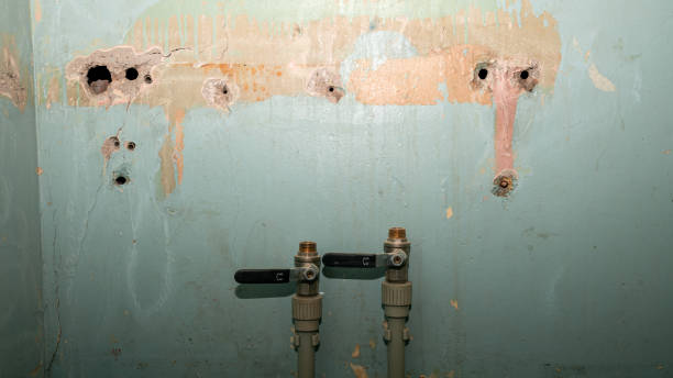Best Water damage restoration services  in Custer, SD