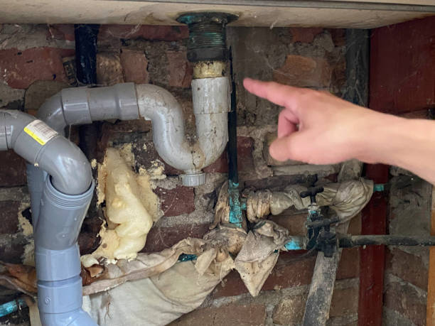 Best Water damage repair service  in Custer, SD
