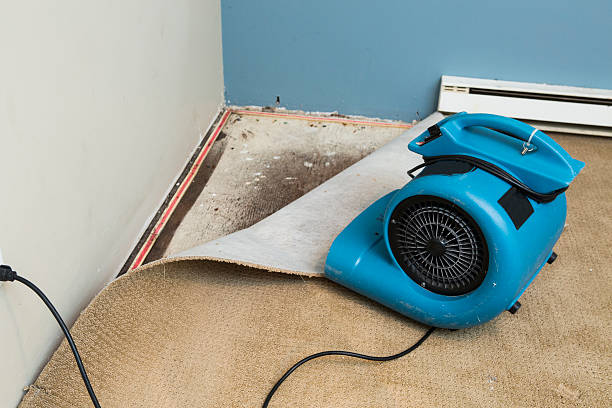 Best Fire Damage Restoration  in Custer, SD
